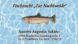 Augustin Fischhandel. Fische und Fischwaren